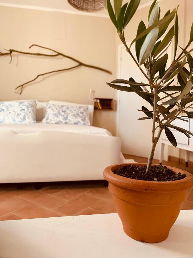 Villa La Casa Nei Campi à Badia Pavese Extérieur photo