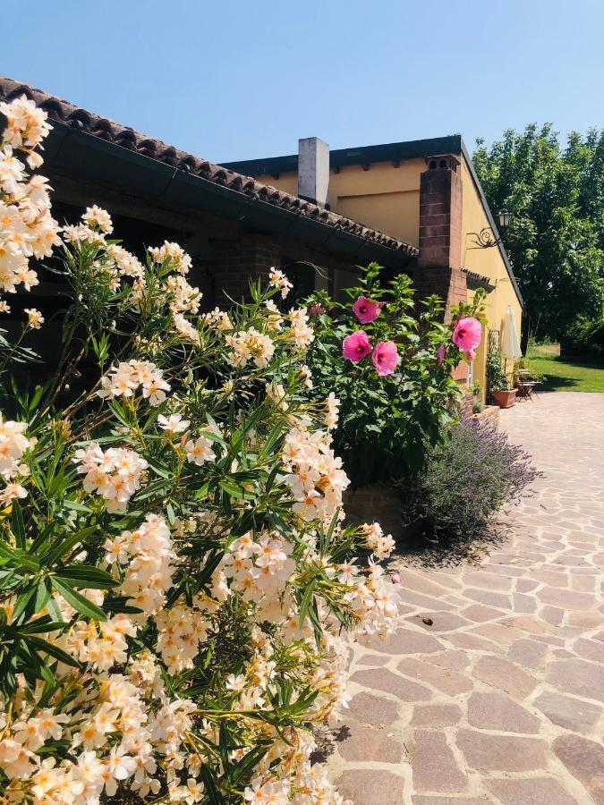 Villa La Casa Nei Campi à Badia Pavese Extérieur photo